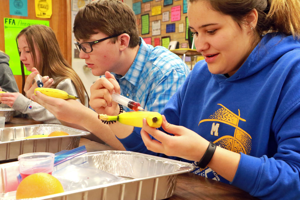 Kimball woman uses life lessons learned on family farm in the classroom